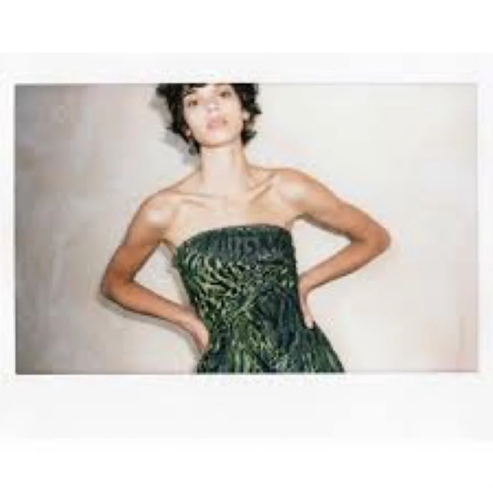 Ulla Johnson Raina strapless dress - Picture 8 of 8